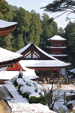 2011年01月09日_DSC_0136