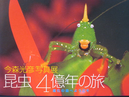 昆虫4億年の旅