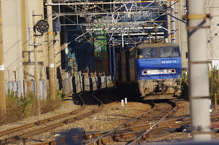 IMGP6784