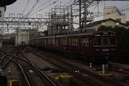 IMGP7438