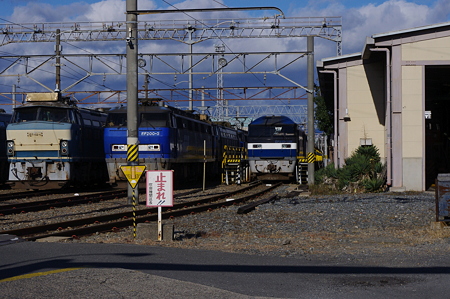 IMGP7783