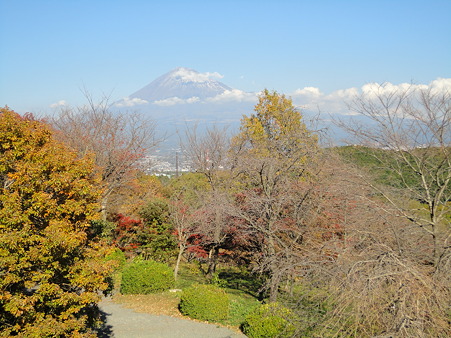 岩本山！
