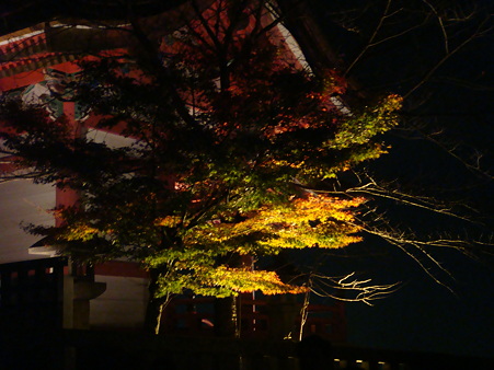 紅葉１