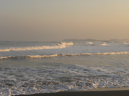 DSCN2385
