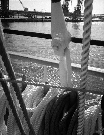 Image1015(OLYMPUS PEN)