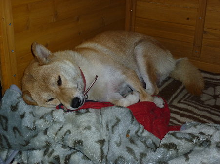 P1000303