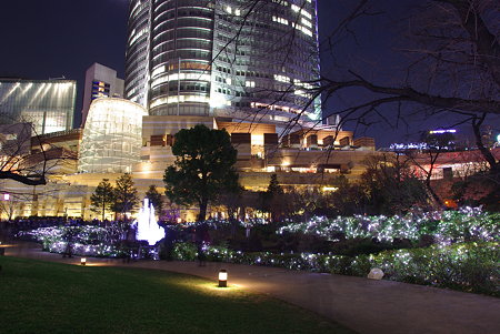 IMGP0853