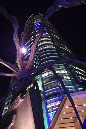 IMGP0865