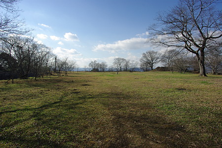 IMGP1245