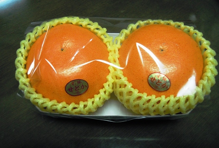 DSCN0891