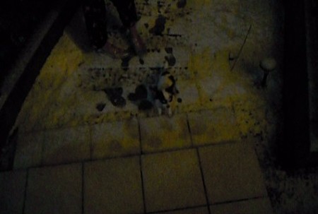 DSCN0864_0001