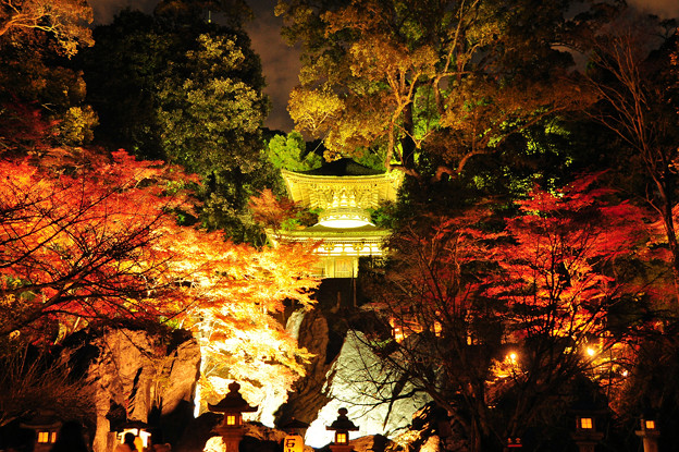 滋賀県 石山寺 紅葉 ライトアップ 写真共有サイト フォト蔵