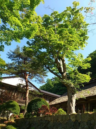 菊水館