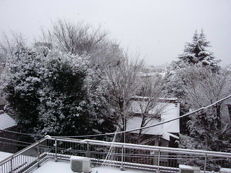 2010年2月18日