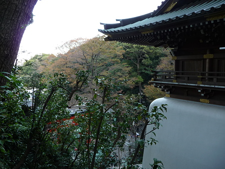 091115-江の島 (32)