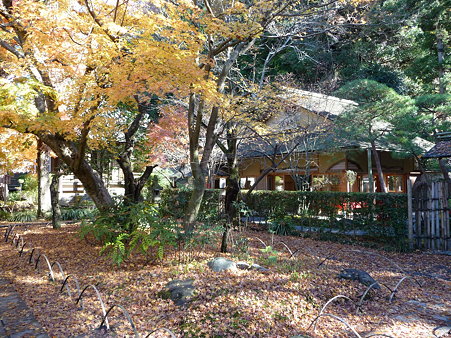 091204-明月院 (54)