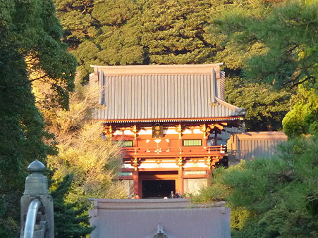 091204-八幡さま (1)