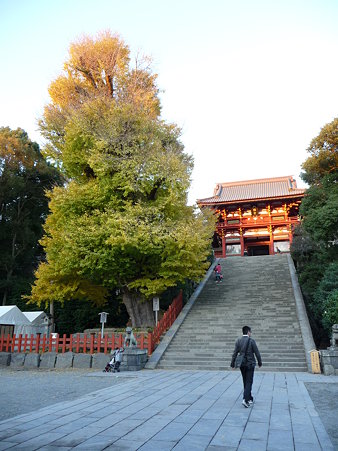 091204-八幡さま (6)