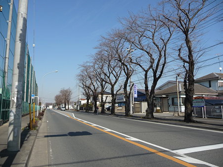 100120-海軍道路・上瀬谷ベース (7)