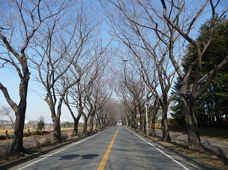 100120-海軍道路・上瀬谷ベース (14)