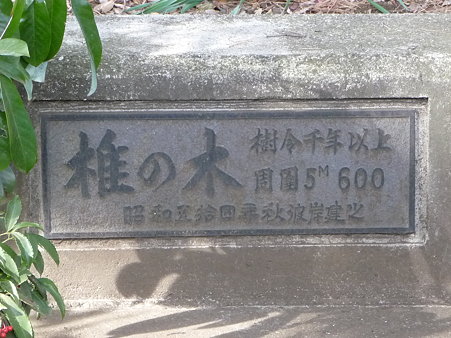 100120-6.西福寺 (7)