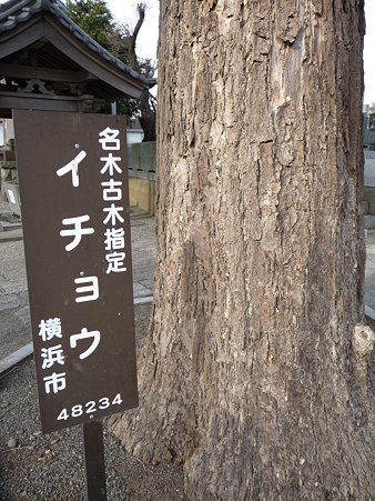 100120-7.宗川寺 (4)