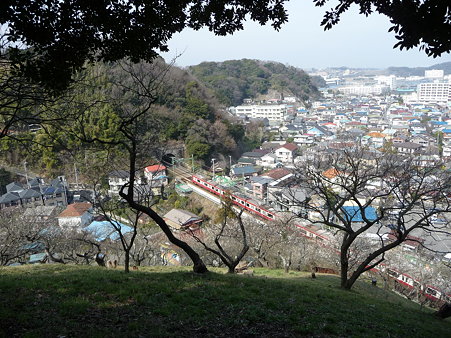 100301-田浦梅林 (93)