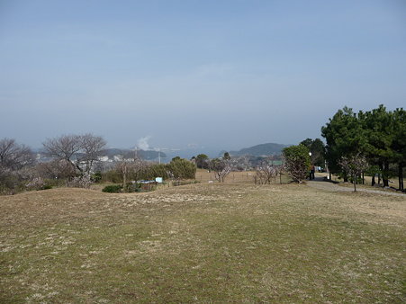 100301-田浦梅林 (57)