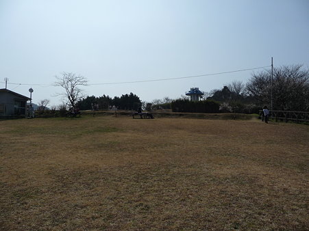 100301-田浦梅林 (54)