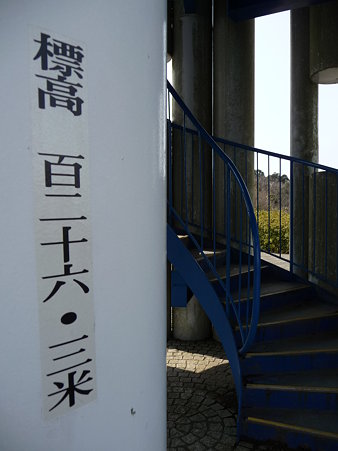 100301-田浦梅林 (59)