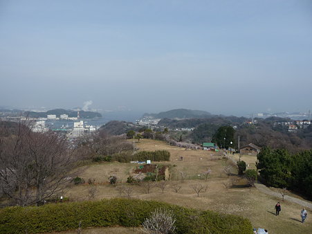 100301-田浦梅林 (62)