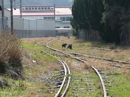 100301-田浦休廃線 (19)