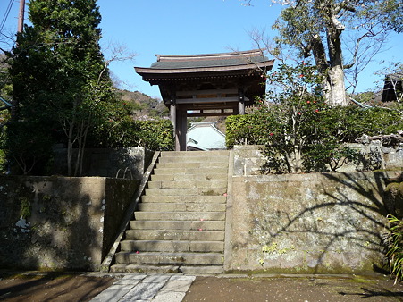 110225-海蔵寺 (3)