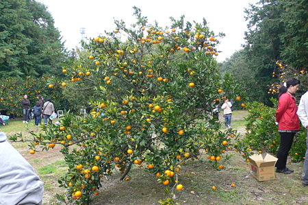 P1040234