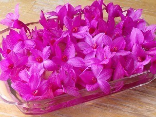 花そのまま