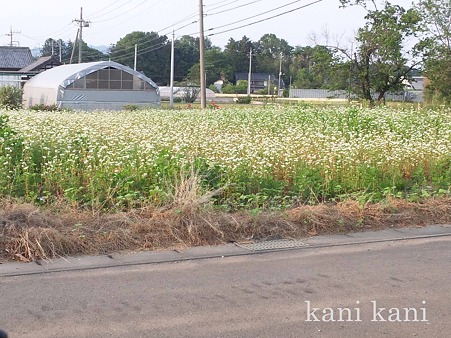 SH3K0672