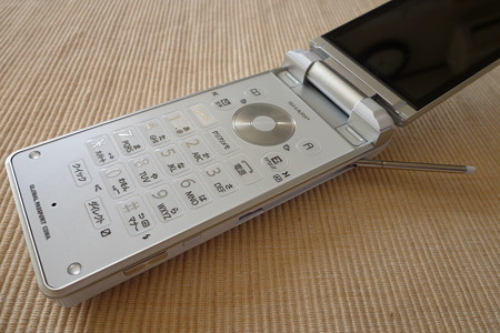 SH010