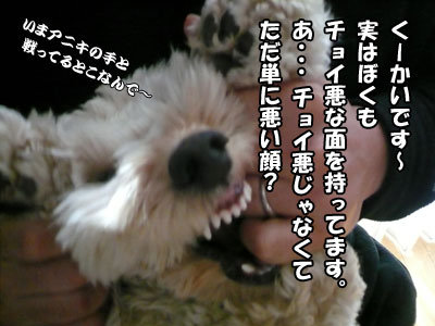 悪顔くーかい