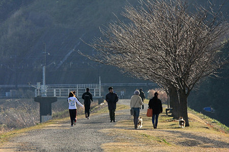 2010.01.10　鶴見川　朝の土手風景