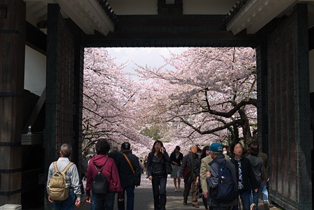 2011.04.11　皇居　北の丸公園　田安門