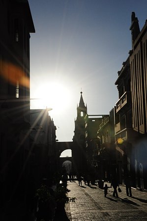 DSC_3561