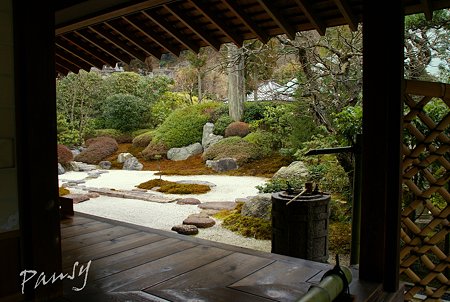 梅見月の浄妙寺・・3