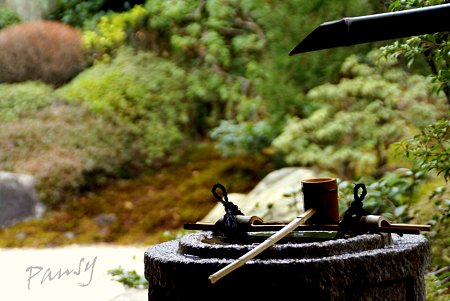 梅見月の浄妙寺・・4