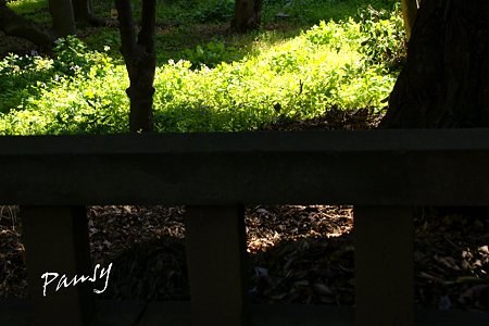 御茶ノ水・神田さんぽ~15