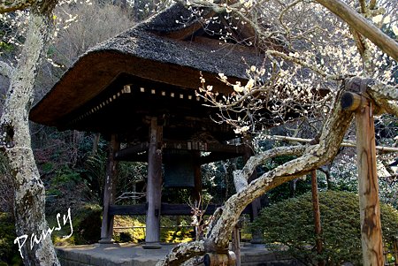 早春の東慶寺にて・・14