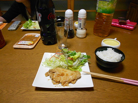 DSCN0845