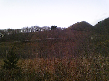 DVC00167
