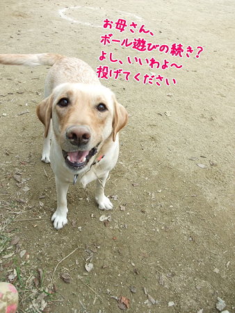 投げようとすると直ちにスタンバイ