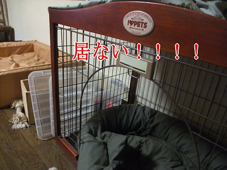 居ない!!