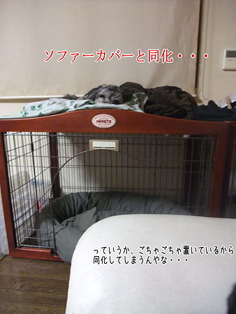 同化